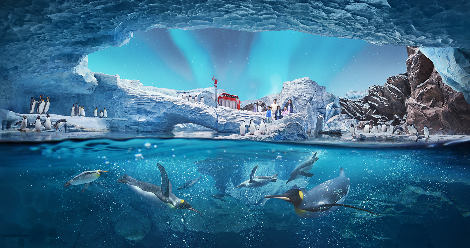 Yas Island Seaworld Abu Dhabi Unveils Four Remaining Realms Uae Times