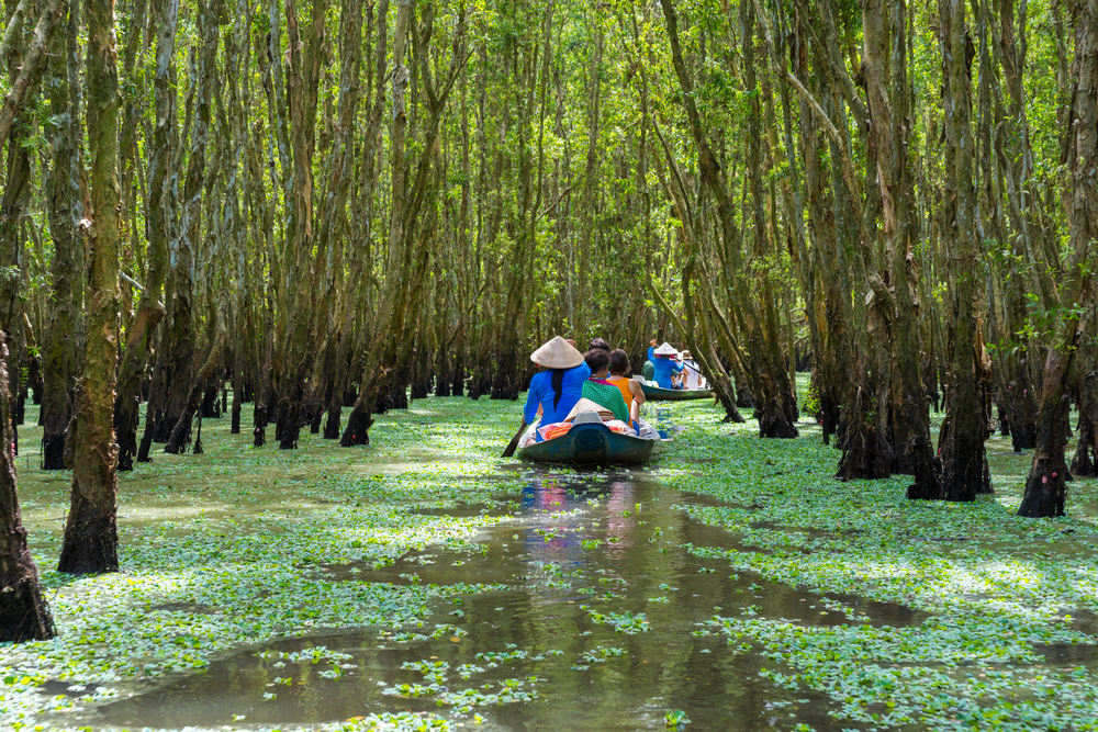 The Mekong Delta in Vietnam