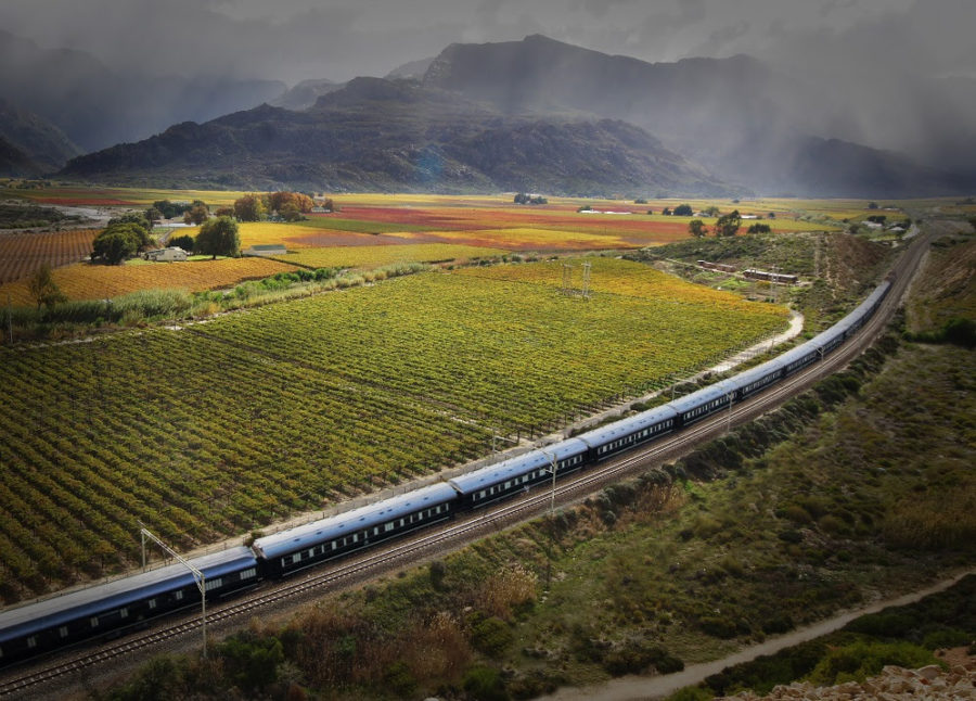 The Pride of Africa train shot