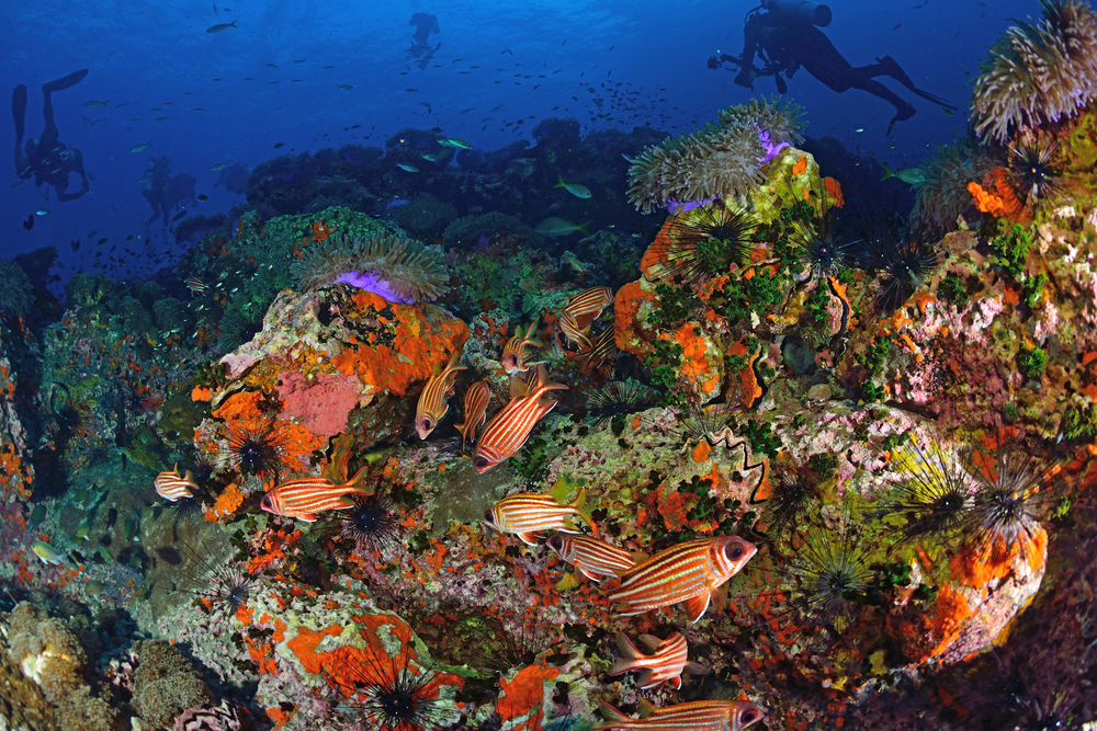 Koh Tao, Thailand - Troubled Islands