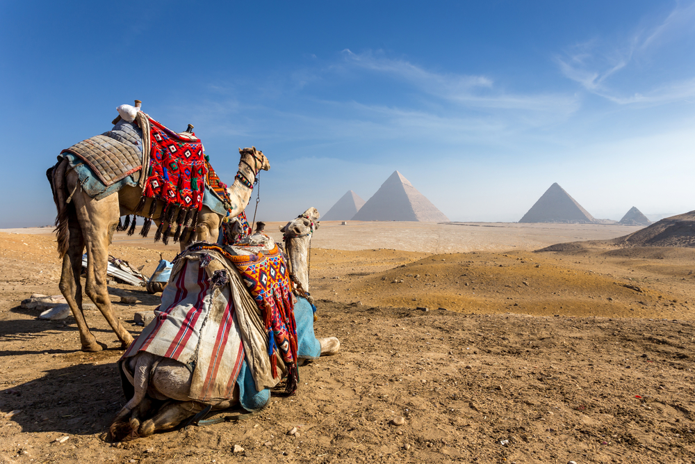 Egypt Western Desert Tours sees 35% increase in visitor arrivals