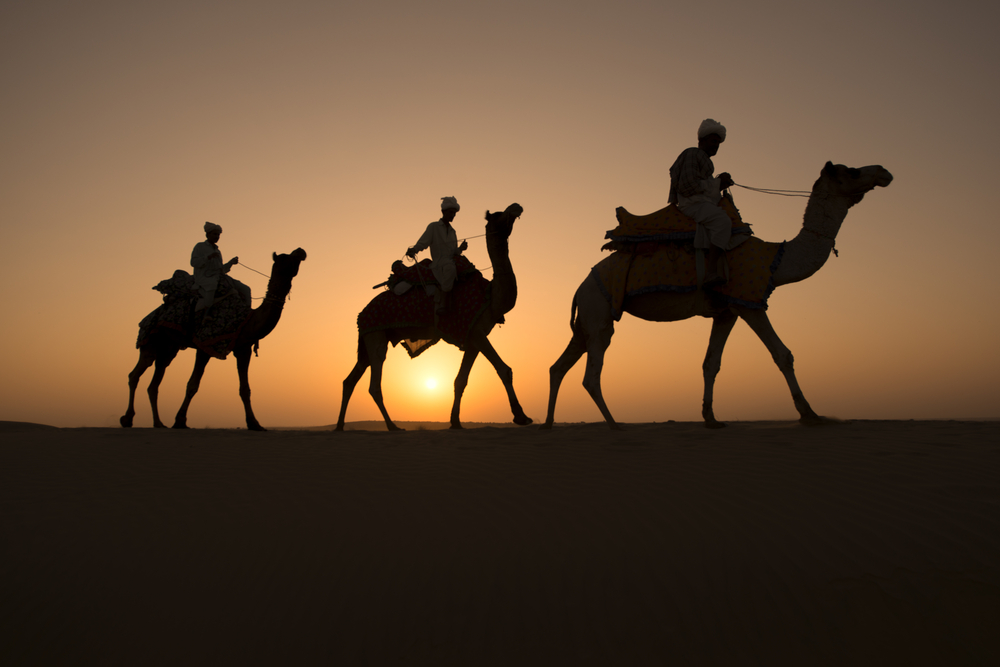 Camel drivers - Sustainable Tourism