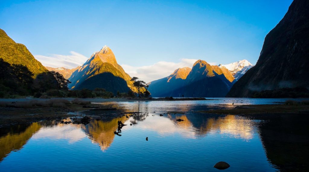 Travel Agents Can Easily Access New Zealand Tourism Business With 