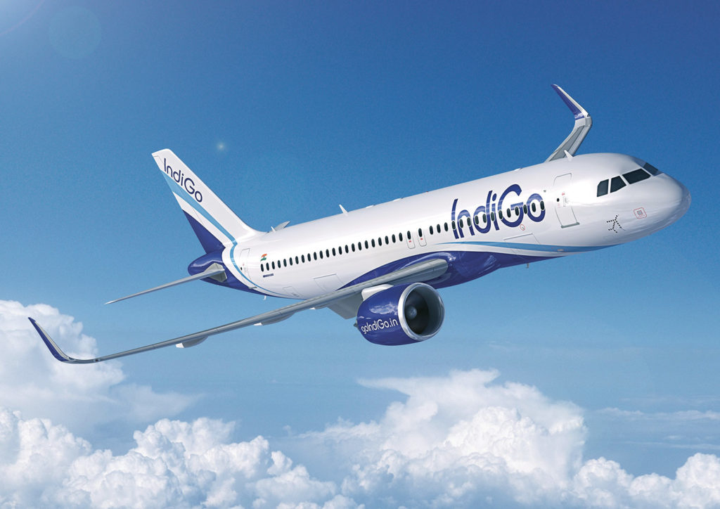 indigo travel group