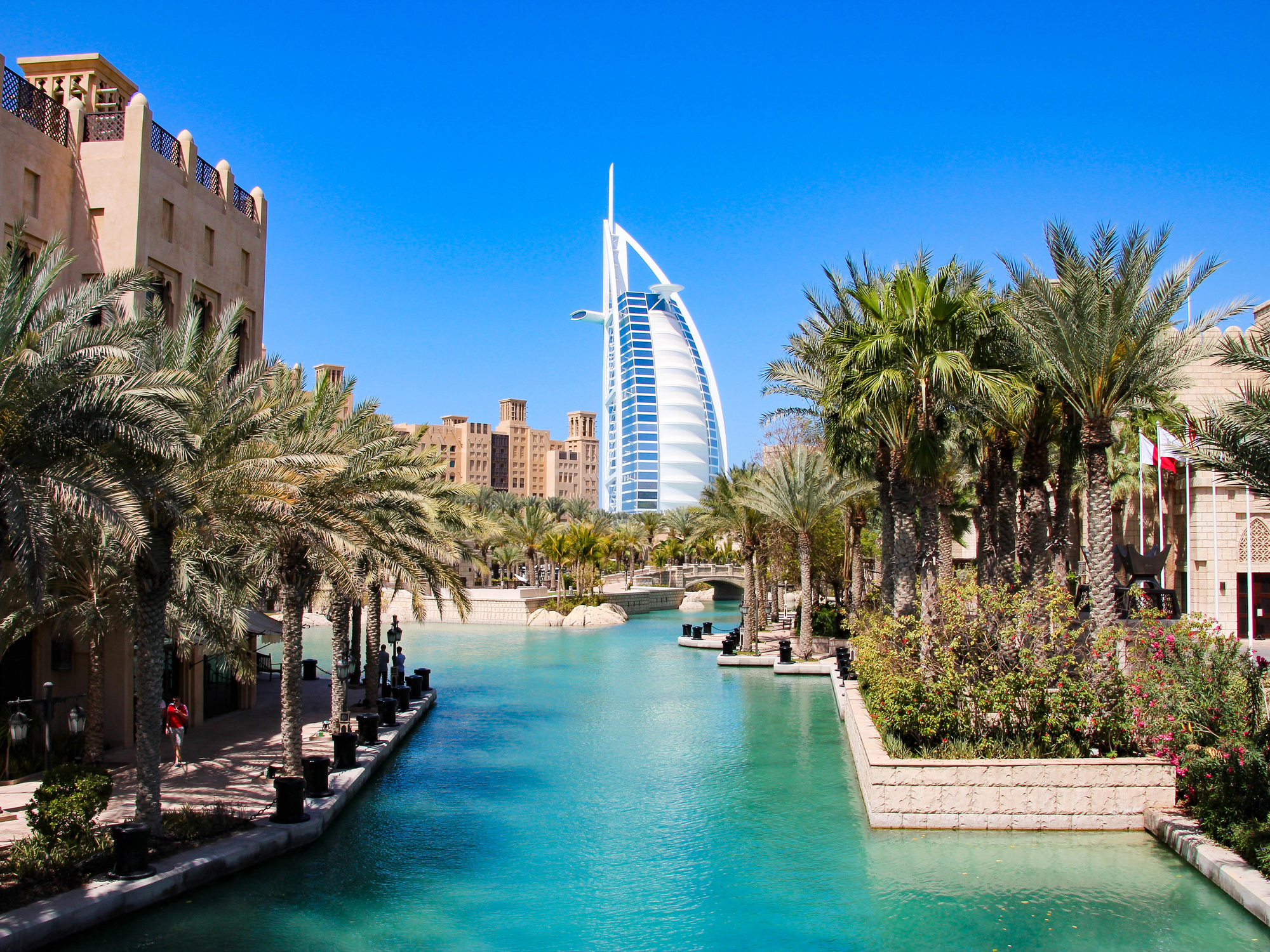 Dubai Sustainable Tourism launches 'Get into the Green Scene' initiative