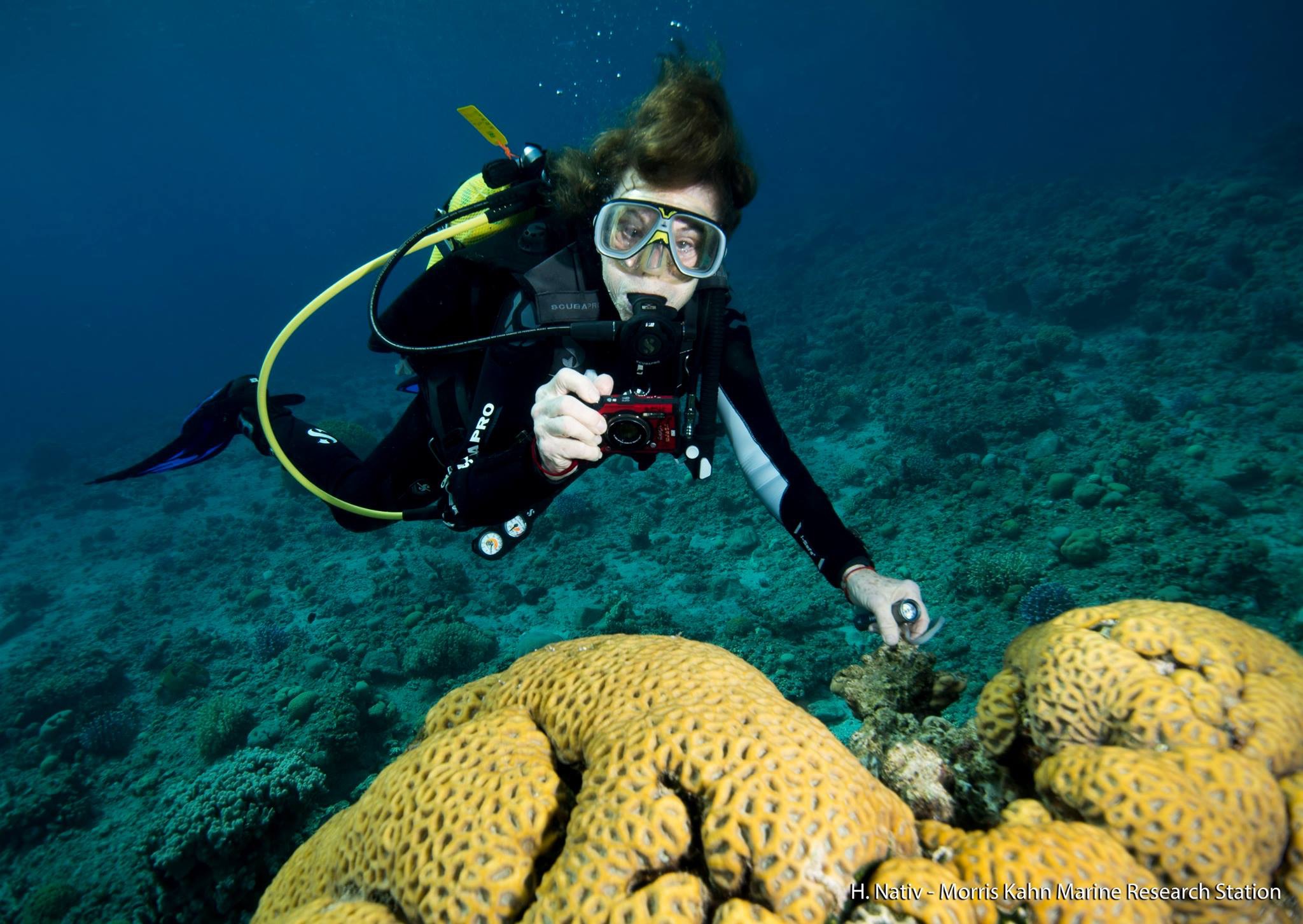 Explora Journeys Names Dr Sylvia Earle As Godmother For Explora I