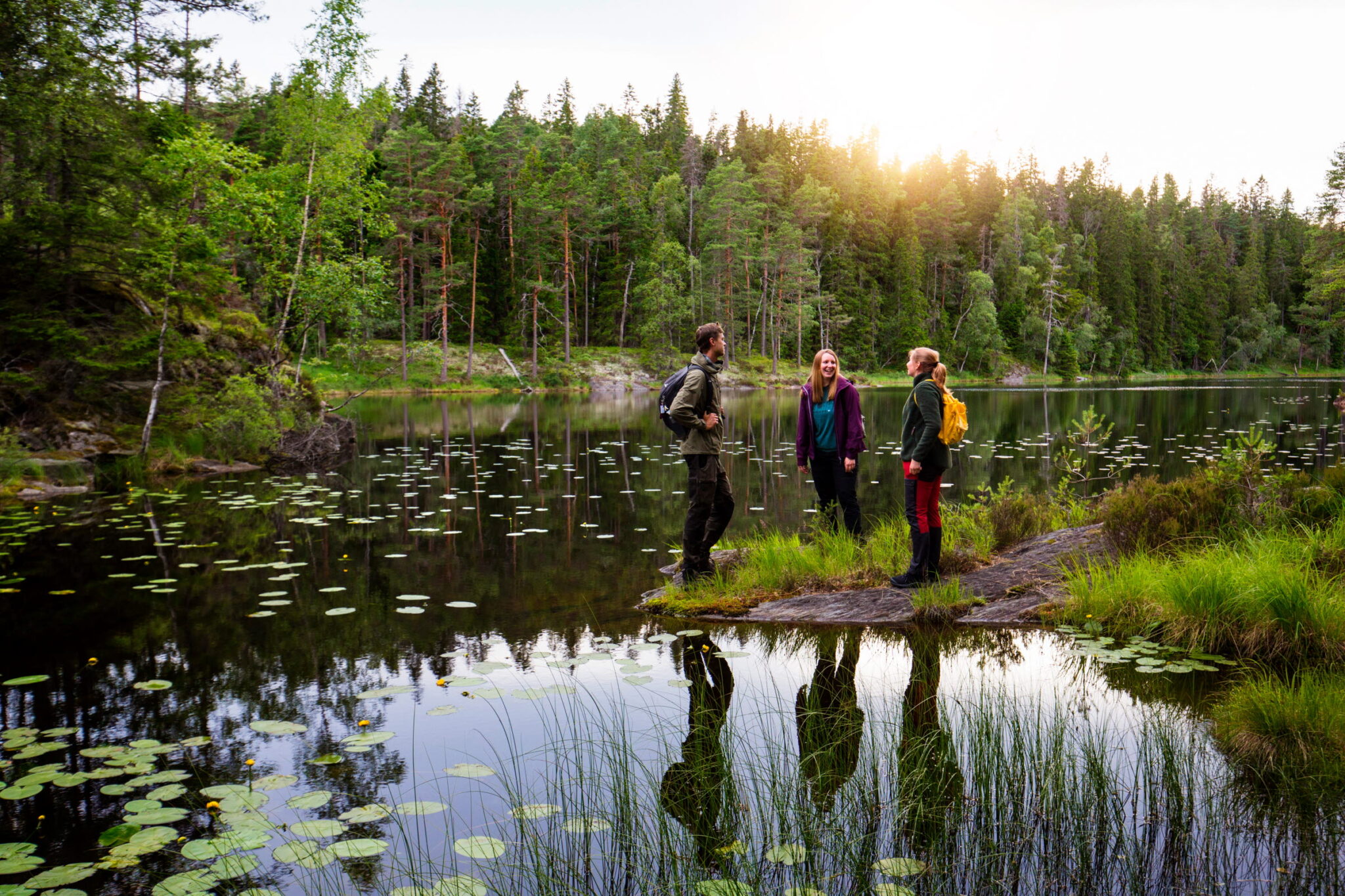 Sweden calls you to her mythical forest